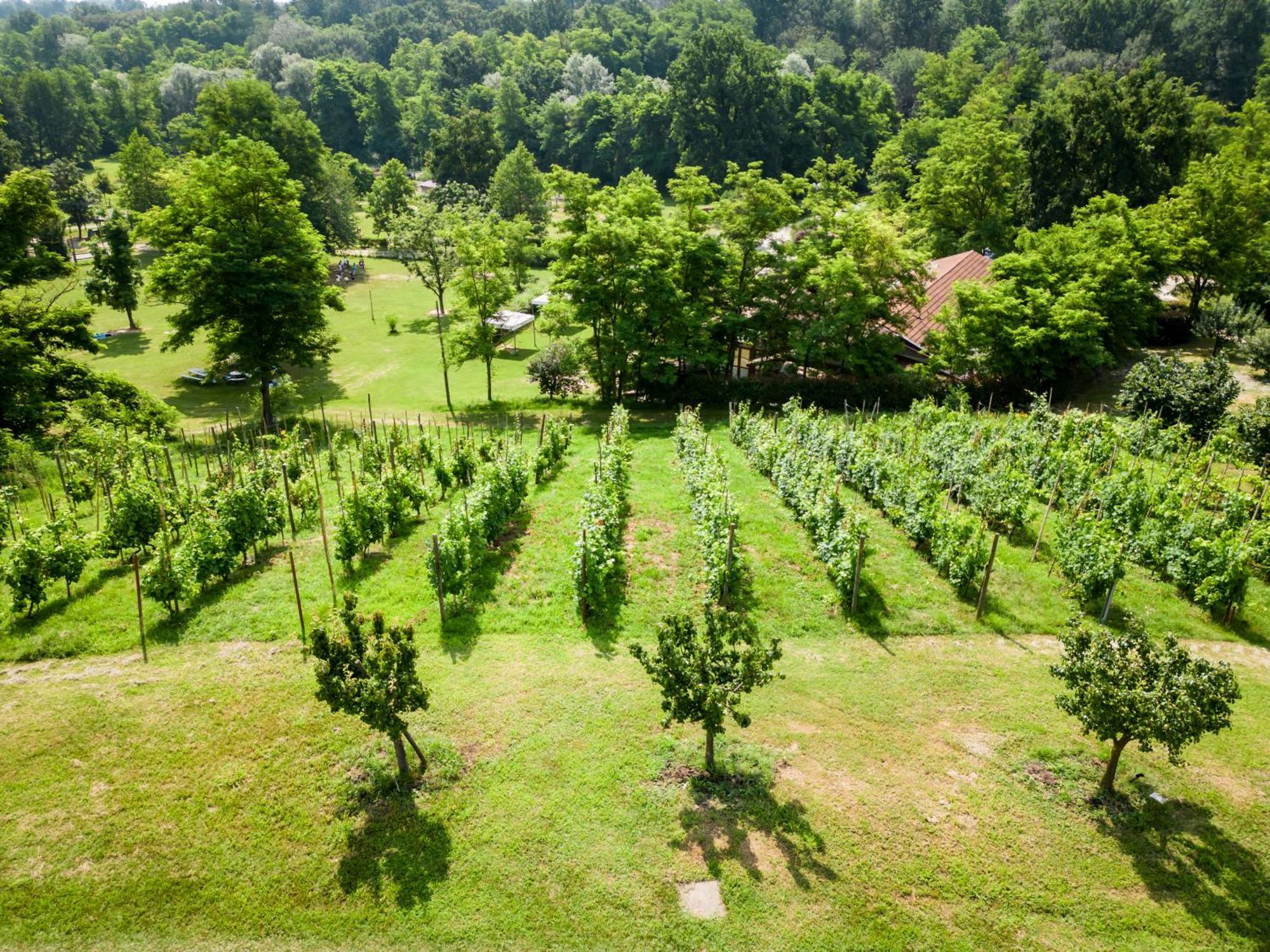 Agriturismo Parco Campofelice Acomodação com café da manhã Lombardore Exterior foto